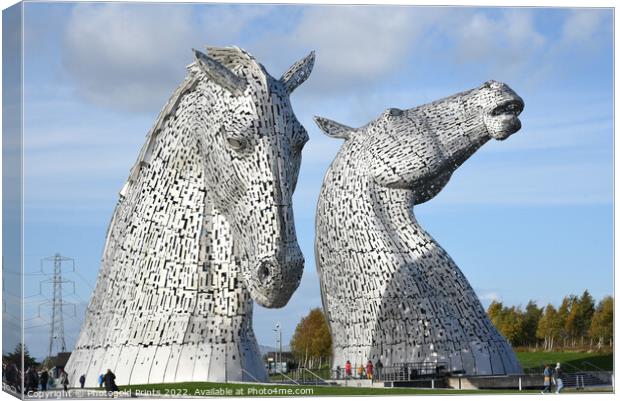 The Kelpies , the Helix , Falkirk Canvas Print by Photogold Prints