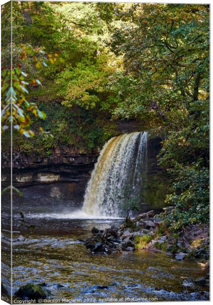 Autumn at Sgwd Gwladys waterfall, Pontneddfechan Canvas Print by Gordon Maclaren