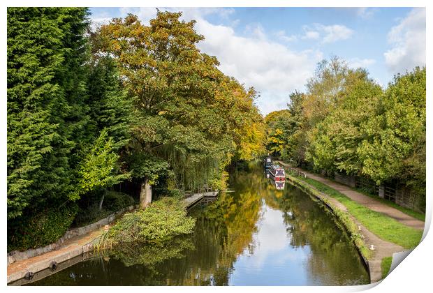 Looking up the Leeds Liverpool canal in autumn Print by Jason Wells