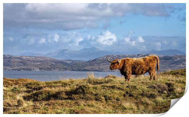 A horny coo on the Isle of Skye Print by Gary Pearson