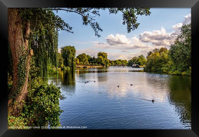 The  River Thames at Benson Framed Print by Ian Lewis