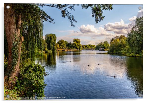 The  River Thames at Benson Acrylic by Ian Lewis