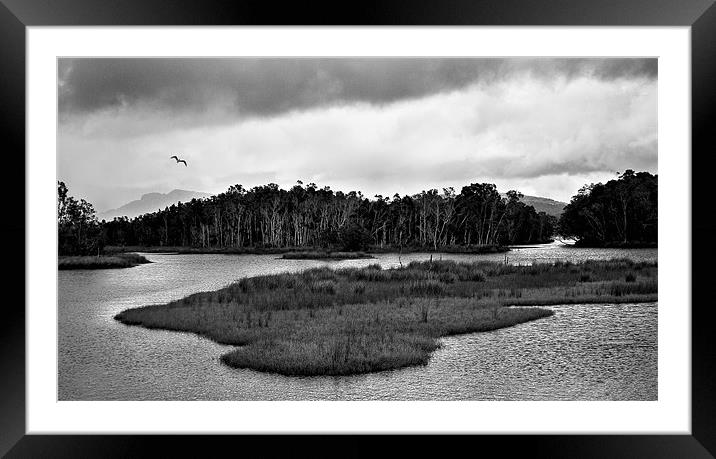 Backwater #3 Framed Mounted Print by Dennis Gay