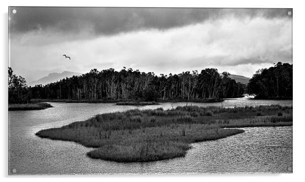 Backwater #3 Acrylic by Dennis Gay