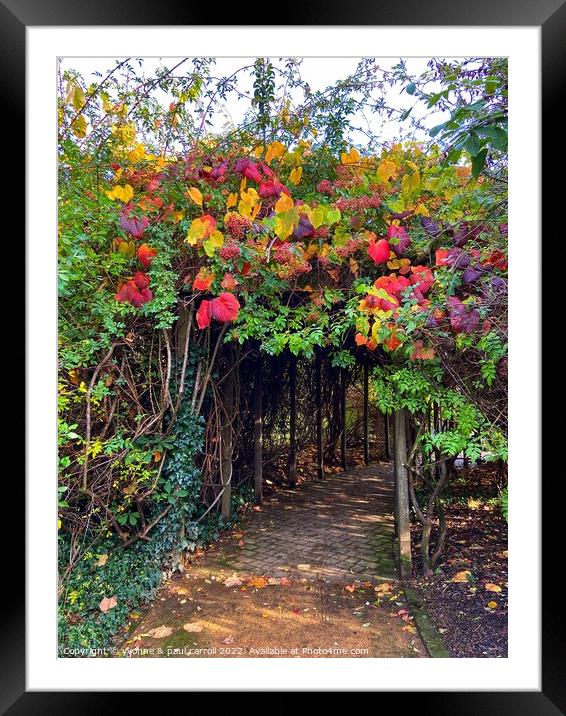 Glasgow Botanical Gardens in Autumn Framed Mounted Print by yvonne & paul carroll