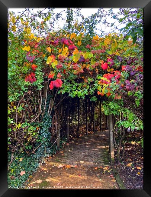 Glasgow Botanical Gardens in Autumn Framed Print by yvonne & paul carroll