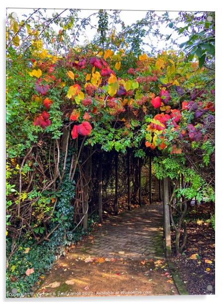 Glasgow Botanical Gardens in Autumn Acrylic by yvonne & paul carroll