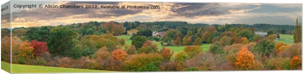 Cannon Hall  Panorama  Canvas Print by Alison Chambers