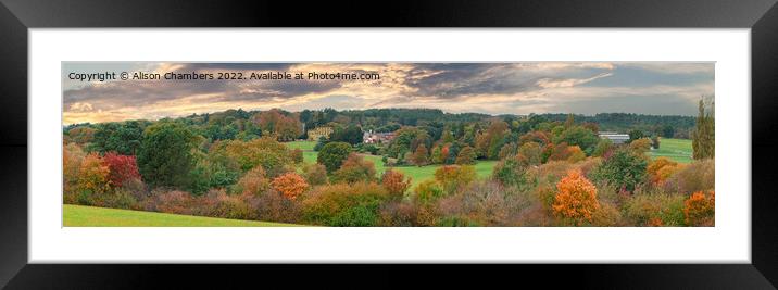 Cannon Hall  Panorama  Framed Mounted Print by Alison Chambers