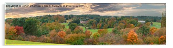 Cannon Hall  Panorama  Acrylic by Alison Chambers
