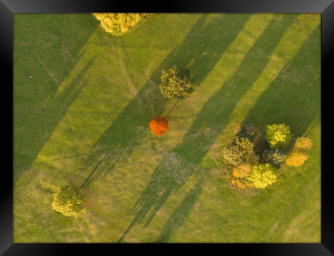 A Speck of Orange Framed Print by Apollo Aerial Photography