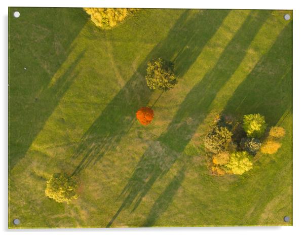A Speck of Orange Acrylic by Apollo Aerial Photography