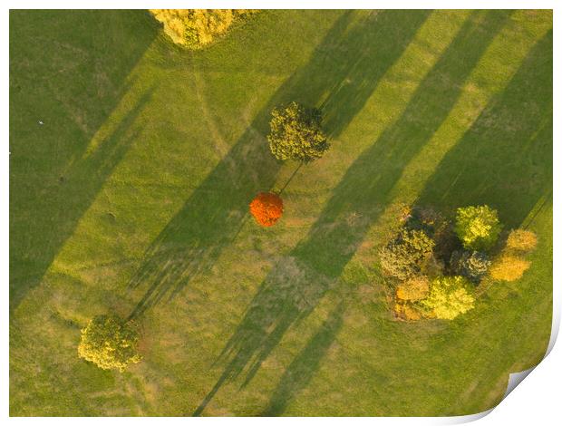 A Speck of Orange Print by Apollo Aerial Photography