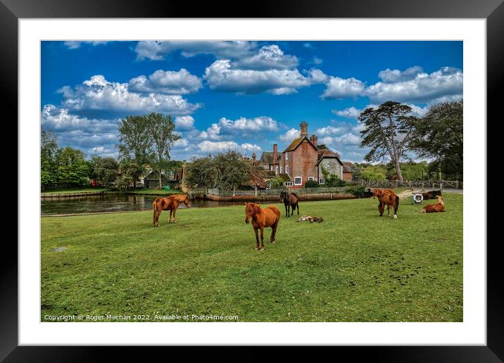 Serene Ponies on Beaulieu Common Framed Mounted Print by Roger Mechan