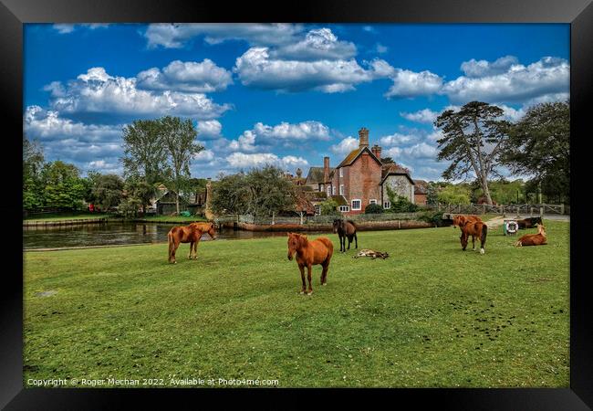 Serene Ponies on Beaulieu Common Framed Print by Roger Mechan
