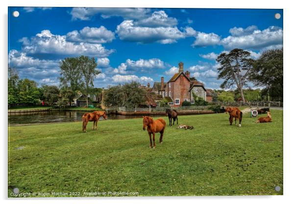 Serene Ponies on Beaulieu Common Acrylic by Roger Mechan