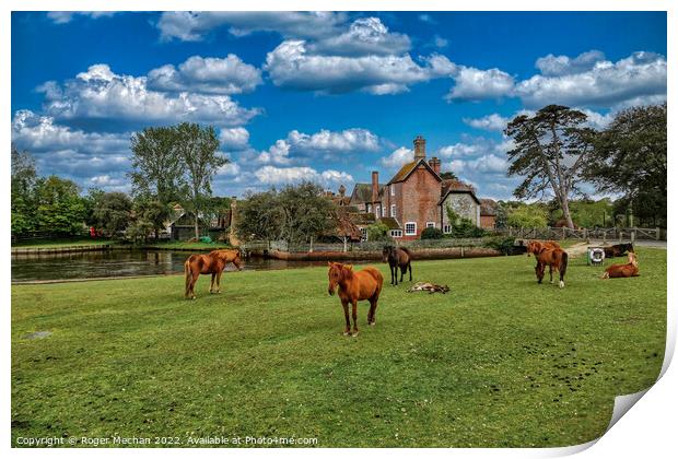 Serene Ponies on Beaulieu Common Print by Roger Mechan
