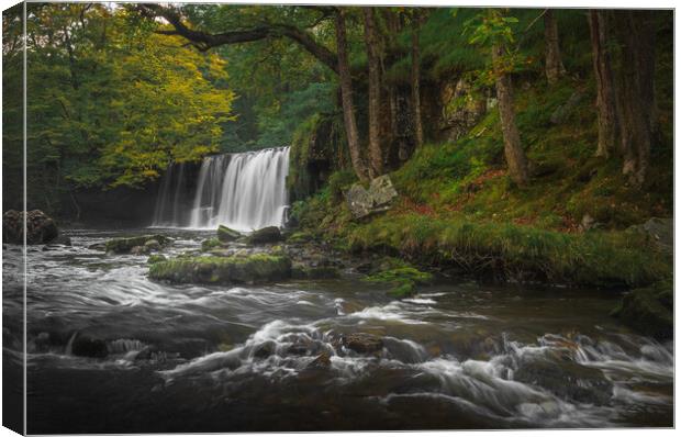 A waterfall with autumnal trees Canvas Print by Colin Duffy
