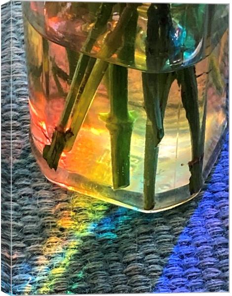 Prism through jam jar of flowers Canvas Print by DEE- Diana Cosford