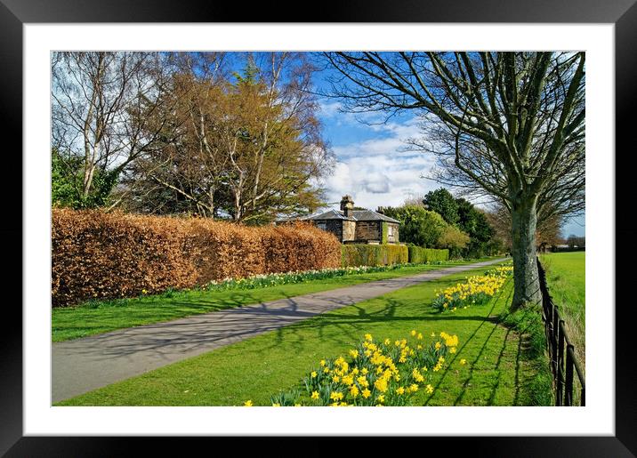 Church Drive and Friars House, Wentworth. Framed Mounted Print by Darren Galpin