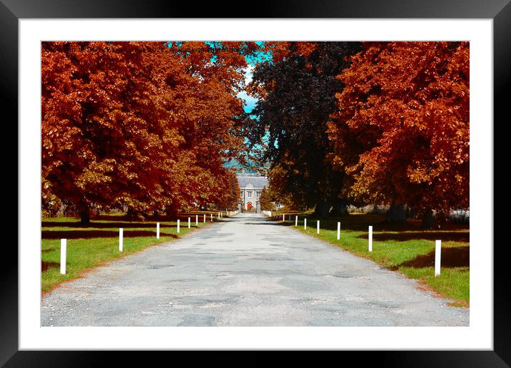 A country house Framed Mounted Print by Derrick Fox Lomax
