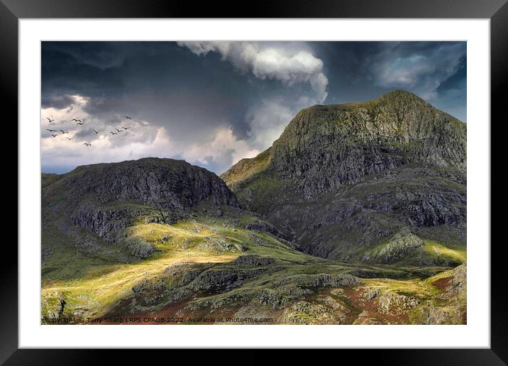 HARRISON STICKLE SUNLIGHT Framed Mounted Print by Tony Sharp LRPS CPAGB