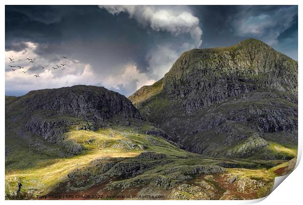 HARRISON STICKLE SUNLIGHT Print by Tony Sharp LRPS CPAGB
