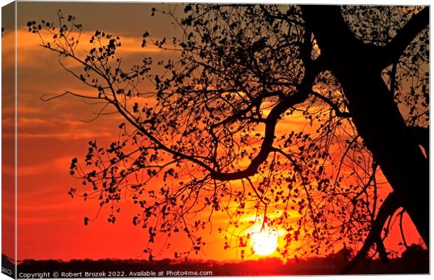 A tree with a sunset in the background with a colorful sky Canvas Print by Robert Brozek