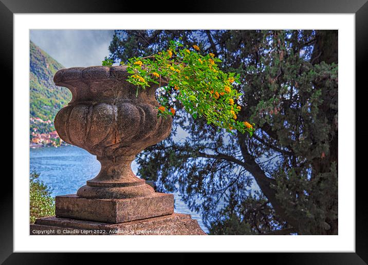 Flora. Grit flowerpot and tree overlooking the lake Framed Mounted Print by Claudio Lepri