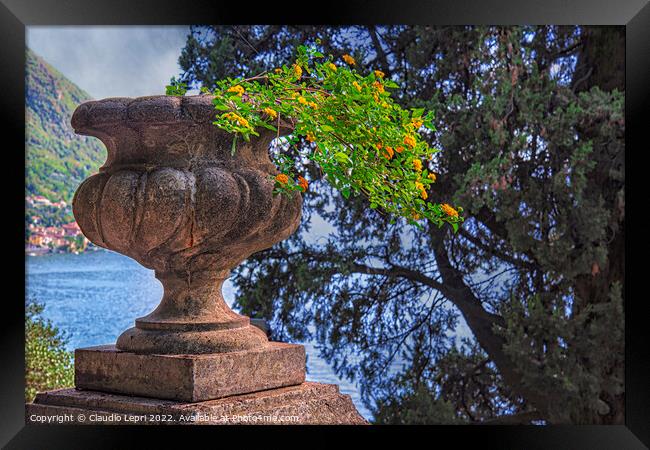 Flora. Grit flowerpot and tree overlooking the lake Framed Print by Claudio Lepri
