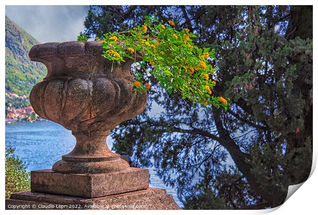 Flora. Grit flowerpot and tree overlooking the lake Print by Claudio Lepri