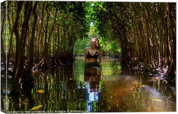 Deep In The Mangroves Canvas Print by George Haddad