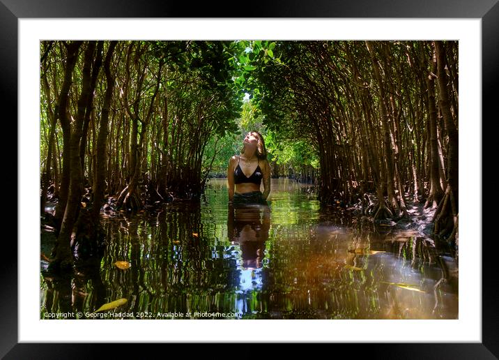 Deep In The Mangroves Framed Mounted Print by George Haddad