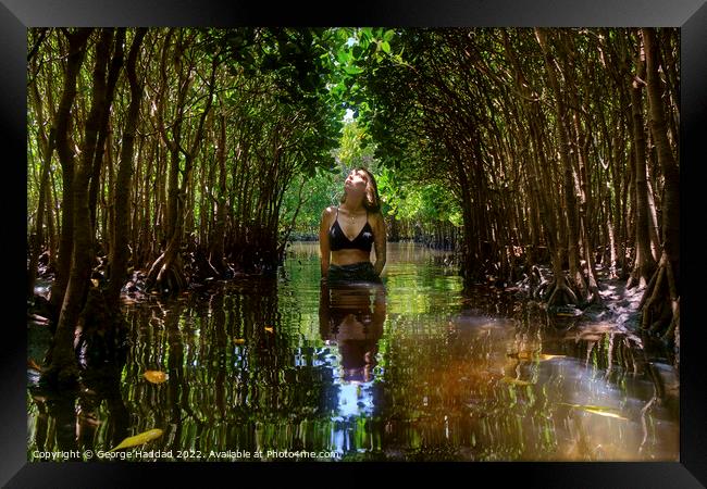 Deep In The Mangroves Framed Print by George Haddad