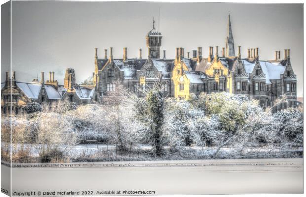 Winter Wonderland at Brownlow House Canvas Print by David McFarland