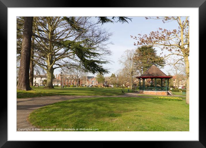 Halstead Public Gardens in Essex Framed Mounted Print by Elaine Hayward