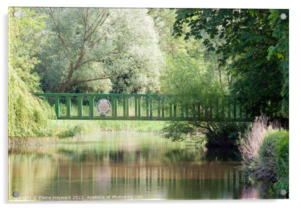 Footbridge over the Little Ouse in Thetford Acrylic by Elaine Hayward