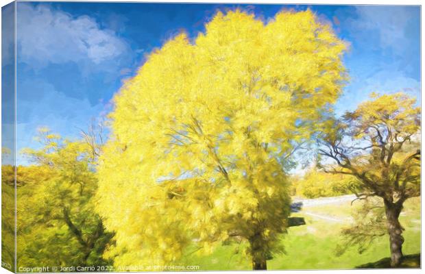 Yellow leaves tree. - Oil painting Edition Canvas Print by Jordi Carrio