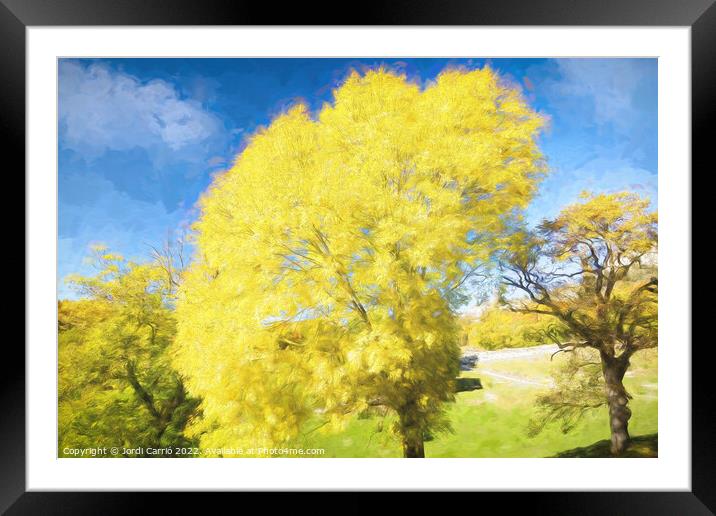Yellow leaves tree. - Oil painting Edition Framed Mounted Print by Jordi Carrio