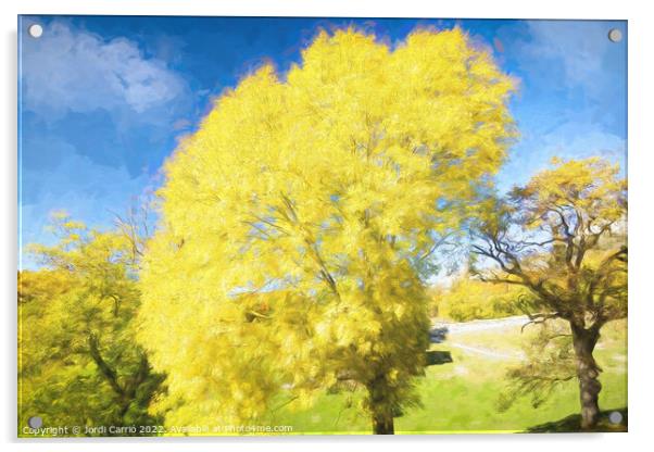 Yellow leaves tree. - Oil painting Edition Acrylic by Jordi Carrio