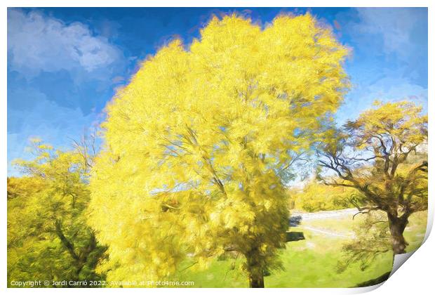 Yellow leaves tree. - Oil painting Edition Print by Jordi Carrio
