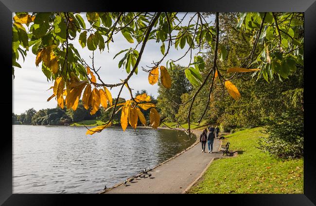 Autumn colours at Sefton Park Framed Print by Jason Wells