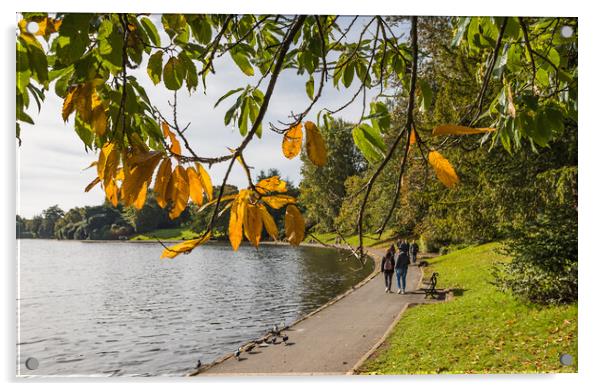 Autumn colours at Sefton Park Acrylic by Jason Wells