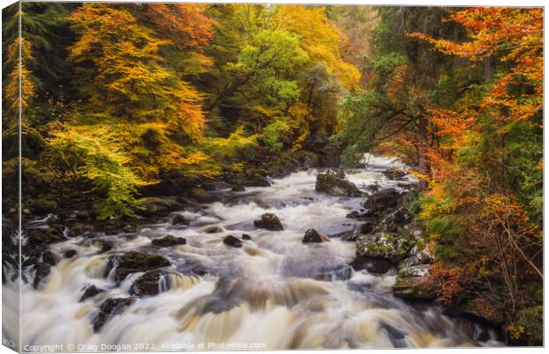 Autumn at the River Braan, Dunkeld Canvas Print by Craig Doogan