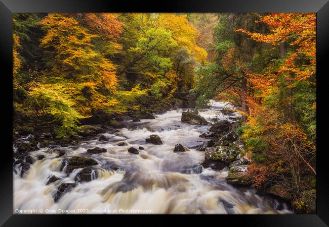 Autumn at the River Braan, Dunkeld Framed Print by Craig Doogan