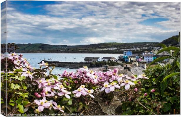 New Quay through the Clematis. Canvas Print by Paddy Art