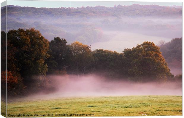 Misty morning at Crowhurst Canvas Print by steve akerman