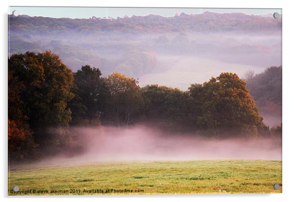 Misty morning at Crowhurst Acrylic by steve akerman
