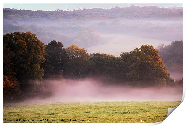 Misty morning at Crowhurst Print by steve akerman