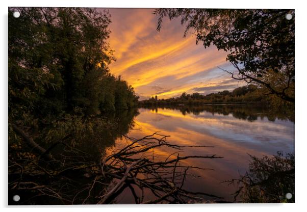 Sunset over Ely, Cambridgeshire, as seen from Roswell Pits, 16th Acrylic by Andrew Sharpe